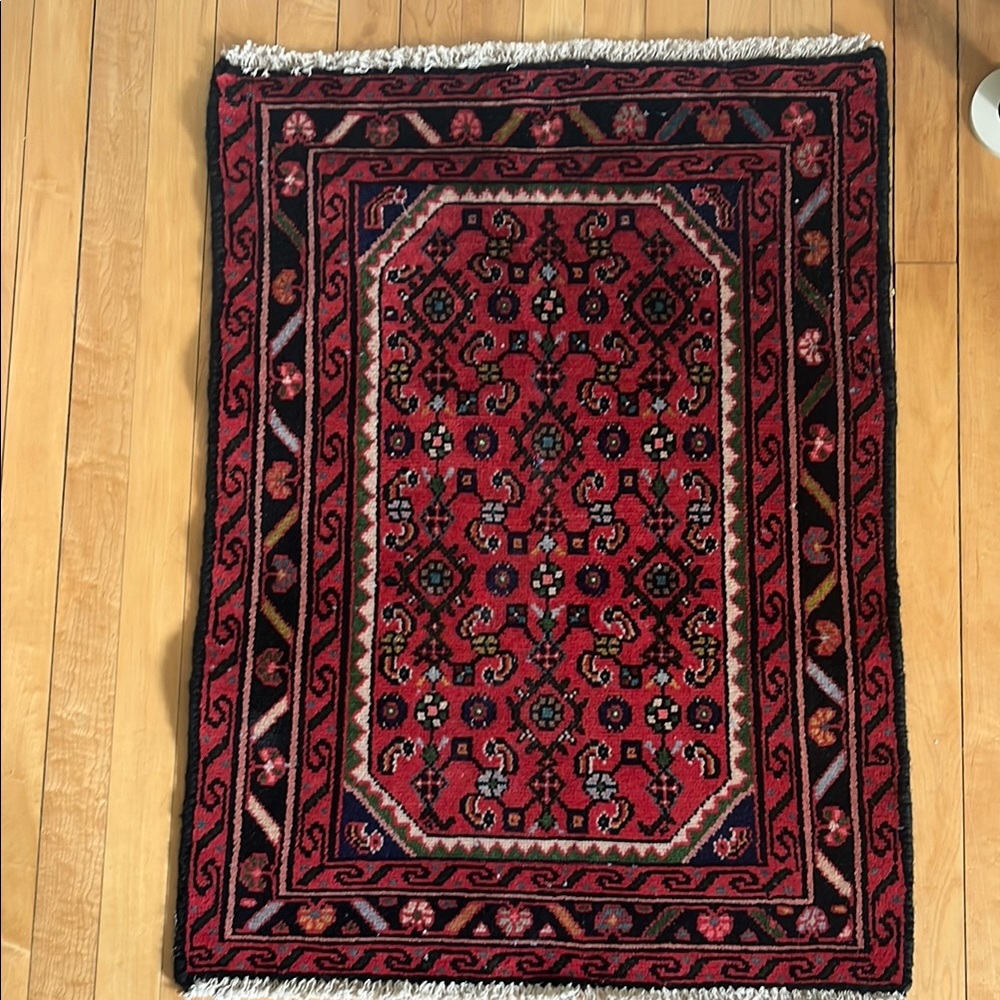 Hand knotted Wool Rug